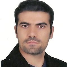 محسن اسلامی